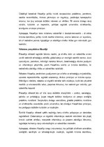 Eseja 'Filozofija: cilvēka eksistence un domāšana mūsdienu un nākotnes perspektīvā', 4.