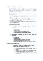 Konspekts 'Filosofiskās antropoloģijas pamatkoncepcijas', 1.