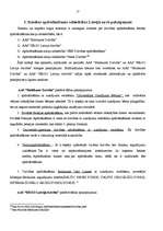 Referāts 'Dzīvības apdrošināšana', 13.