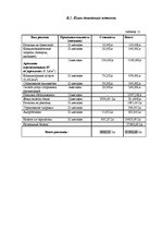 Biznesa plāns 'Тату салон', 41.