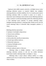 Referāts 'Uzņēmējdarbības veida ekonomiskais pamatojums', 22.