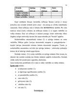 Referāts 'Uzņēmējdarbības veida ekonomiskais pamatojums', 30.