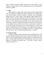 Konspekts 'Matemātiskās spēles pamatskolai', 7.