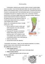 Konspekts 'Dziedzerepitēlijs', 1.