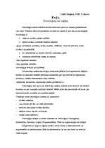 Eseja 'Socioloģija un loģika', 1.