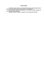 Paraugs 'Datu bāzu vadības sistēmas', 8.