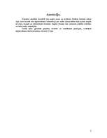 Biznesa plāns 'Ievads projektu vadībā. Pil­sē­tas interneta mā­jas lapas iz­vei­de', 2.