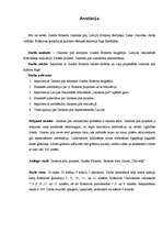 Referāts 'Būt vai nebūt Gunāra Birkerta Gaismas pilij Latvijā', 3.