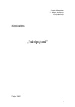 Biznesa plāns 'IK "Pakalpojumi"', 1.