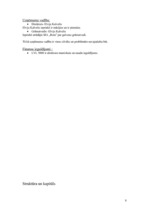 Biznesa plāns 'IK "Pakalpojumi"', 8.