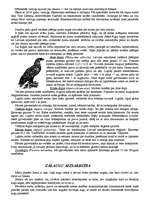 Referāts 'Latvijas Sarkanā grāmata un vides aizsardzība', 5.