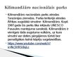 Prezentācija 'Āfrikas aizsargājamās teritorijas', 5.
