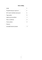 Konspekts 'Mārketinga plāns', 2.