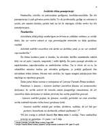 Referāts 'Ētikas specifika jurista profesijā', 6.