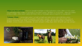 Prezentācija 'Līgo svētku iezīmes', 4.