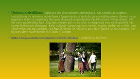 Prezentācija 'Līgo svētku iezīmes', 5.