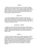 Referāts 'Eirāzija', 11.