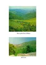 Referāts 'Eirāzija', 14.