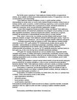 Referāts 'Valsts ieņēmumu dienests, komunikācija tajā', 3.