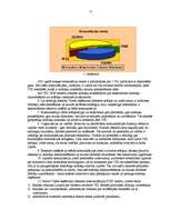 Referāts 'Valsts ieņēmumu dienests, komunikācija tajā', 21.