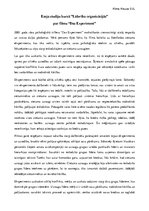 Eseja 'Eseja par filmu "Das Experiment"', 1.