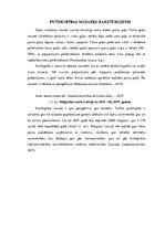 Referāts 'Putnkopības nozares lielākā uzņēmuma peļņas raksturojums', 4.