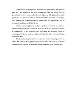 Referāts 'Putnkopības nozares lielākā uzņēmuma peļņas raksturojums', 13.