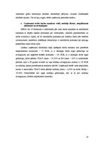 Referāts 'SIA "Meža un koksnes produktu pētniecības un attīstības institūts" darba samaksa', 23.