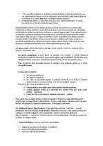 Konspekts 'Komerctiesību pamatelementi', 4.