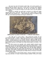 Konspekts 'Jānis Dikmanis', 2.