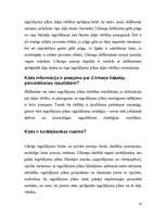 Referāts 'Otrais pensiju līmenis', 10.