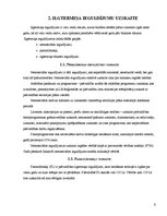 Prakses atskaite 'X pagasta pašvaldības prakses pārskats', 6.