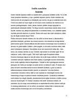 Referāts 'Meditatīva kompozīcija - mandala', 11.