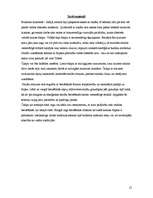 Referāts 'Meditatīva kompozīcija - mandala', 12.