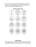 Referāts 'Meditatīva kompozīcija - mandala', 17.