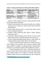 Prakses atskaite 'Prakses atskaite būvniecības uzņēmumā', 6.