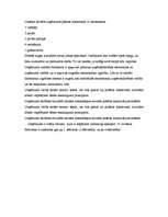 Biznesa plāns 'Picērija "Makro"', 3.