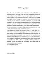 Biznesa plāns 'Picērija "Makro"', 4.