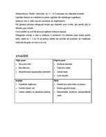 Biznesa plāns 'Picērija "Makro"', 7.