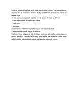 Biznesa plāns 'Picērija "Makro"', 9.