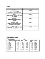 Biznesa plāns 'Picērija "Makro"', 12.