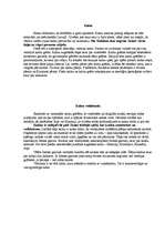 Referāts 'Kalni', 2.