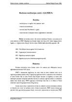 Referāts 'Budisms Latvijā - apskats', 9.