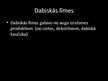 Prezentācija 'Prezentācija par līmi', 10.