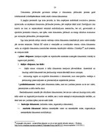 Diplomdarbs 'Valsts robežsardzes darbības, veicot ceļošanas dokumentu kontroli', 28.