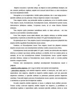 Diplomdarbs 'Valsts robežsardzes darbības, veicot ceļošanas dokumentu kontroli', 40.