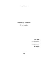 Referāts 'Krāsu terapija', 1.