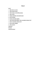 Referāts 'Krāsu terapija', 2.