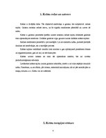Referāts 'Krāsu terapija', 4.