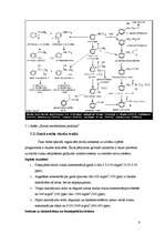 Referāts 'Riska novērtējums stirolam', 9.